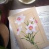 Affiche Narcisses « Narcissus »