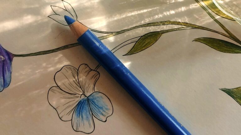 coloriage fleurs bleues