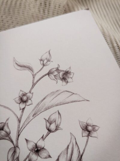 Carnet Belladonna – Image 6