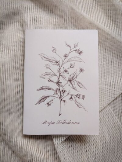 Carnet Belladonna – Image 4