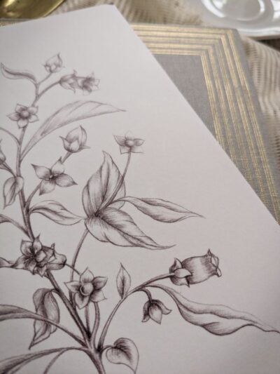 Carnet Belladonna – Image 2
