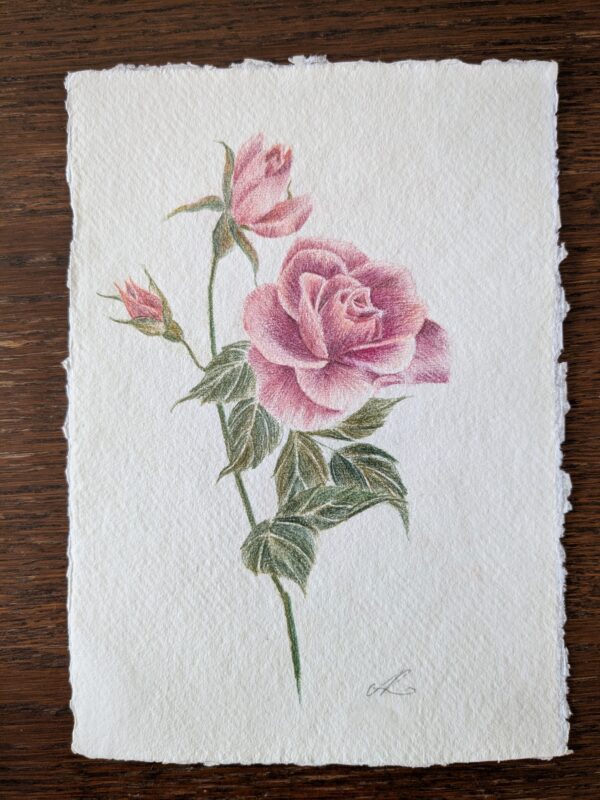 Roses 1 - Dessin original
