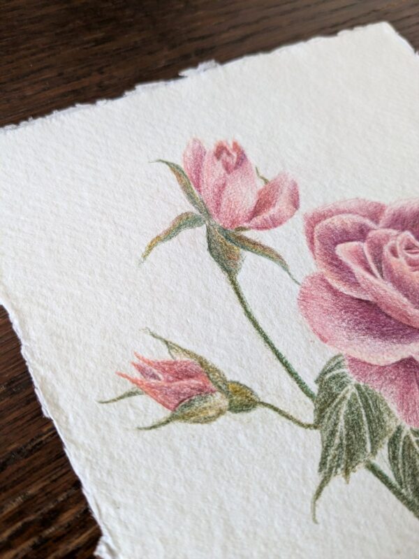 PXL_20260311_095922748