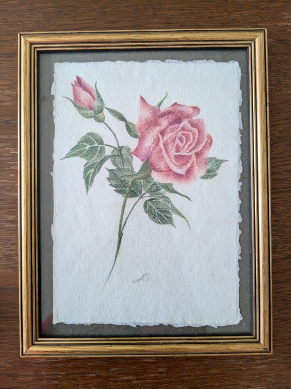 Roses 4 - Dessin original