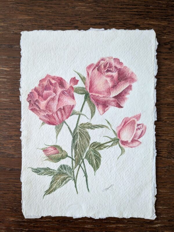 Roses 3 - Dessin Original