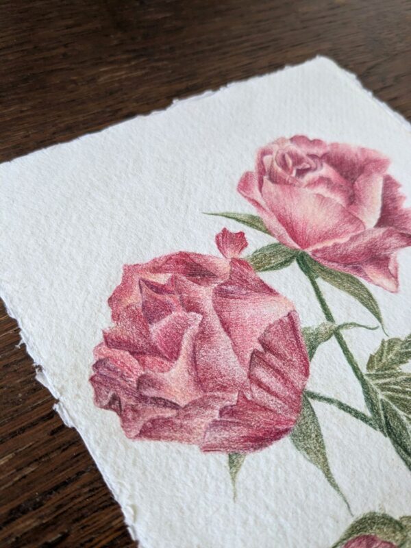 PXL_20260311_100033764